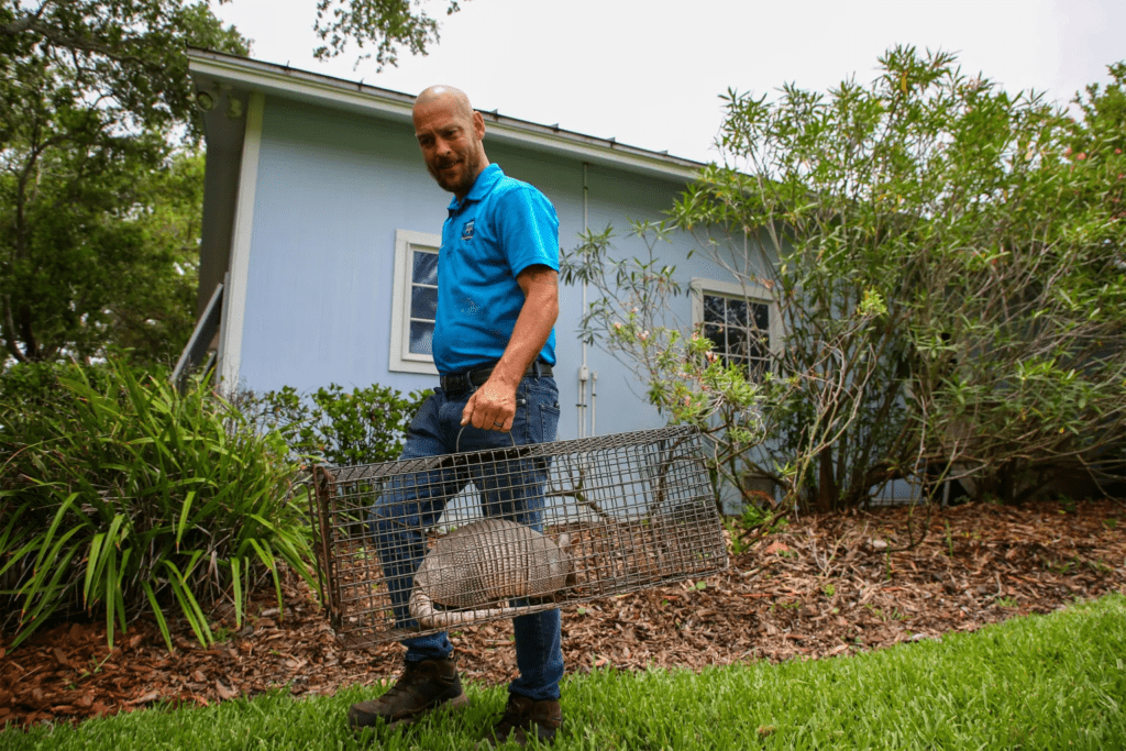 The Case of the Armadillo: Is It Spreading Leprosy in Florida?