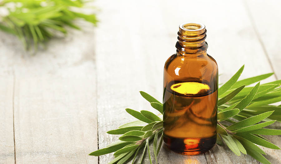 Best 13 Essential Oils and How They Can Advantage Your Health