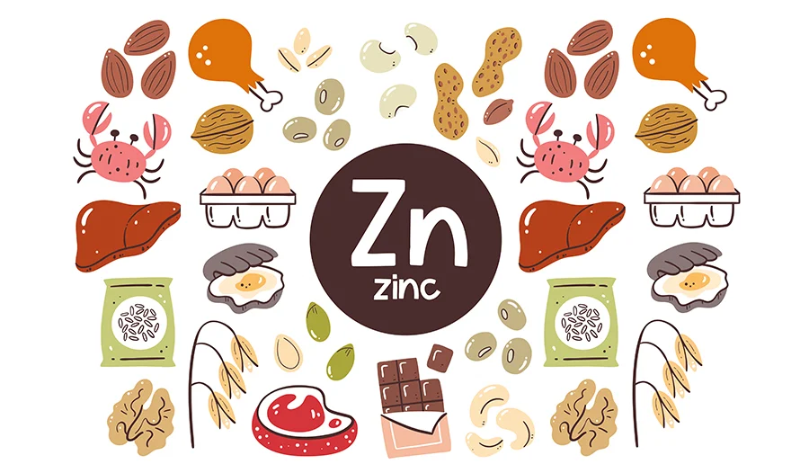 best-zinc-food-sources