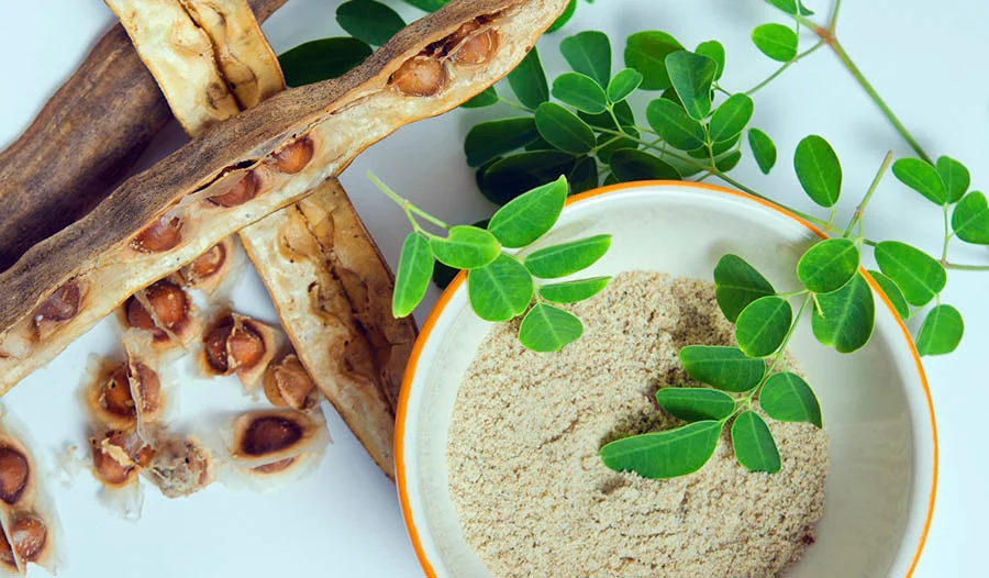 health-benefits-of-moringa.